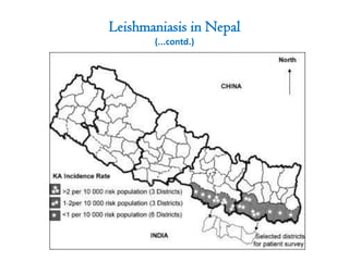Leishmaniasis in Nepal
(...contd.)
 
