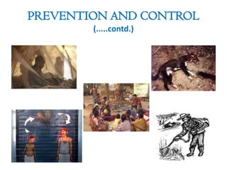 PREVENTION AND CONTROL
(.....contd.)
 