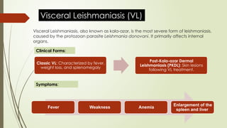 Leishmaniasis is a vector borne, parasitic disease | PPTX