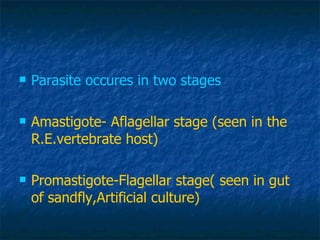 <ul><li>Parasite occures in two stages </li></ul><ul><li>Amastigote- Aflagellar stage (seen in the R.E.vertebrate host) </...