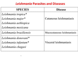 Leishmania Parasites and Diseases 
SPECIES Disease 
Leishmania tropica* 
Leishmania major* 
Cutaneous leishmaniasis 
Leishmania aethiopica 
Leishmania mexicana 
Leishmania braziliensis Mucocutaneous leishmaniasis 
Visceral leishmaniasis 
Leishmania donovani* 
Leishmania infantum* 
Leishmania chagasi 
9 
 