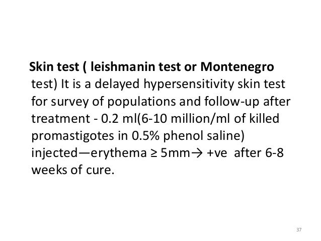 Leishmaniasis 120609100101-phpapp01