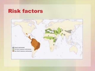 Risk factors
 