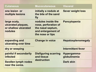 Cutaneous                Mucocutaneous           Visceral
one lesion or            initially a nodule at   Sever weight loss
multiple lesions         the bite of the sand
                         fly
large scaly,             nodules inside the      Pancytopenia
ulcerated plaques,       nose, perforation of
or shallow ulcerated     the nasal septum,
nodules                  and enlargement of
                         the nose or lips

expanding and            Change in voice         Hepatosplenomegaly
ulcerating over time
dry or weeping                                   Intermittent fever
painful if secondarily   Disfiguring scarring    Hypergamma-
infected                 and tissue              globulinemia
                         destruction
Swollen lymph nodes                              Dark skin
near the sores.
 