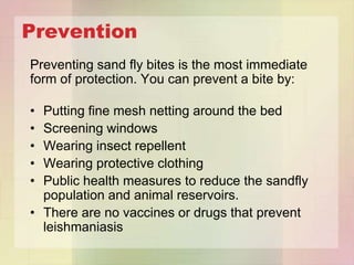 Prevention
Preventing sand fly bites is the most immediate
form of protection. You can prevent a bite by:

• Putting fine mesh netting around the bed
• Screening windows
• Wearing insect repellent
• Wearing protective clothing
• Public health measures to reduce the sandfly
  population and animal reservoirs.
• There are no vaccines or drugs that prevent
  leishmaniasis
 