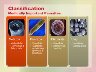 Classification
Medically Important Parasites




Metazoa            Protozoa         Chromista        Fungi
• Multicellular.   • Unicellular.   • Unicellular.   • Unicellular.
• Helminthes &     • Fagellates,    • Blastocystis   • Microsporidia.
  Arthropods.        amoebozoa,       hominis.
                     sporozoa &
                     ciliophora
 