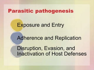 Parasitic pathogenesis

   Exposure and Entry

   Adherence and Replication
   Disruption, Evasion, and
   Inactivation of Host Defenses
 