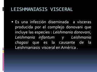 LEISHMANIASIS VISCERAL
 Es una infección diseminada a vísceras
producida por el complejo donovani que
incluye las especies : Leishmania donovani,
Leishmania infantum y Leishmania
chagasi que es la causante de la
Leishmaniasis visceral en América .
 
