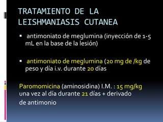 TRATAMIENTO DE LA
LEISHMANIASIS CUTANEA
 antimoniato de meglumina (inyección de 1-5
mL en la base de la lesión)
 antimoniato de meglumina (20 mg de /kg de
peso y día i.v. durante 20 días
Paromomicina (aminosidina) I.M. : 15 mg/kg
una vez al día durante 21 días + derivado
de antimonio
 