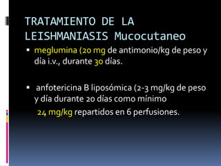 TRATAMIENTO DE LA
LEISHMANIASIS Mucocutaneo
 meglumina (20 mg de antimonio/kg de peso y
día i.v., durante 30 días.
 anfotericina B liposómica (2-3 mg/kg de peso
y día durante 20 días como mínimo
24 mg/kg repartidos en 6 perfusiones.
 