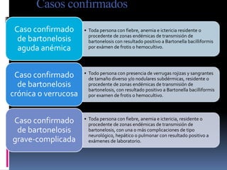 Casos confirmados
• Toda persona con fiebre, anemia e ictericia residente o
procedente de zonas endémicas de transmisión de
bartonelosis con resultado positivo a Bartonella bacilliformis
por exámen de frotis o hemocultivo.
Caso confirmado
de bartonelosis
aguda anémica
• Todo persona con presencia de verrugas rojizas y sangrantes
de tamaño diverso y/o nodulares subdérmicas, residente o
procedente de zonas endémicas de transmisión de
bartonelosis, con resultado positivo a Bartonella bacilliformis
por examen de frotis o hemocultivo.
Caso confirmado
de bartonelosis
crónica o verrucosa
• Toda persona con fiebre, anemia e ictericia, residente o
procedente de zonas endémicas de transmisión de
bartonelosis, con una o más complicaciones de tipo
neurológico, hepático o pulmonar con resultado positivo a
exámenes de laboratorio.
Caso confirmado
de bartonelosis
grave-complicada
 