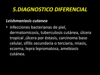 5.DIAGNOSTICO DIFERENCIAL
Leishmaniasis cutanea
• infecciones bacterianas de piel,
dermatomicosis, tuberculosis cutánea, úlcera
tropical ,úlcera por éstasis, carcinoma baso
celular, sífilis secundaria o terciaria, miasis,
eczema, lepra lepromatosa, amebiasis
cutánea.
 