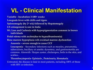 2
VL - Clinical ManifestationVL - Clinical Manifestation
Variable - Incubation 3-100+ weeksVariable - Incubation 3-100+ weeks
Lowgrade fever with chills and rigorsLowgrade fever with chills and rigors
Splenomegaly (by 2Splenomegaly (by 2ndnd
wk) followed by Hepatomegalywk) followed by Hepatomegaly
LN enlargement is rare in IndiaLN enlargement is rare in India
Wt. Loss and Cachexia with hyperpigmentation common in brownWt. Loss and Cachexia with hyperpigmentation common in brown
individualsindividuals
Pedal edema with ascites(due to hypoalbuminemia)Pedal edema with ascites(due to hypoalbuminemia)
Bone marrow hyperplasia wih eventual marrow dysfunctionBone marrow hyperplasia wih eventual marrow dysfunction
Anaemia – severe enough to cause CCFAnaemia – severe enough to cause CCF
Leucopenia -Leucopenia - Secondary infections such as measles, pneumonia,
tuberculosis, bacillary or amebic dysentery, and gastroenteritis are
common. Alonwtih Herpes zoster, chickenpox, boils in the skin, and
scabies ..
Thrombocytopenia- Epistaxis , Proteinuria, HematuriaThrombocytopenia- Epistaxis , Proteinuria, Hematuria
Untreated, the disease is fatal in most patients, including 100% of those
with HIV co-infection.
 