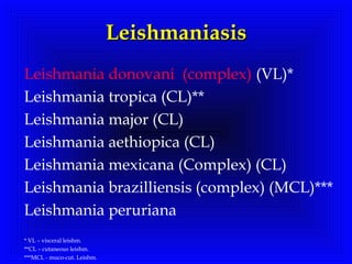 LeishmaniasisLeishmaniasis
Leishmania donovani (complex) (VL)*
Leishmania tropica (CL)**
Leishmania major (CL)
Leishmania aethiopica (CL)
Leishmania mexicana (Complex) (CL)
Leishmania brazilliensis (complex) (MCL)***
Leishmania peruriana
* VL – visceral leishm.
**CL – cutaneous leishm.
***MCL - muco-cut. Leishm.
 