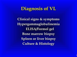 3
Diagnosis of VLDiagnosis of VL
Clinical signs & symptomsClinical signs & symptoms
HypergammaglobulinemiaHypergammaglobulinemia
ELISA/Formol gelELISA/Formol gel
Bone marrow biopsyBone marrow biopsy
Spleen or liver biopsySpleen or liver biopsy
Culture & HistologyCulture & Histology
 