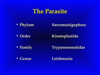 The ParasiteThe Parasite
• PhylumPhylum
• OrderOrder
• FamilyFamily
• GenusGenus
SarcomastigophoraSarcomastigophora
KinetoplastidaKinetoplastida
TrypanosomatidaeTrypanosomatidae
LeishmaniaLeishmania
 