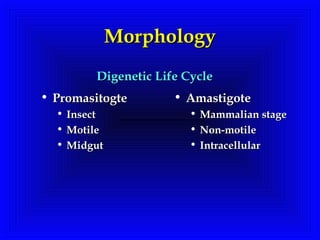 MorphologyMorphology
• PromasitogtePromasitogte
• InsectInsect
• MotileMotile
• MidgutMidgut
• AmastigoteAmastigote
• Mammalian stageMammalian stage
• Non-motileNon-motile
• IntracellularIntracellular
Digenetic Life CycleDigenetic Life Cycle
 