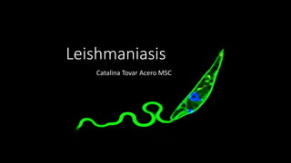 Leishmaniasis
Catalina Tovar Acero MSC
 