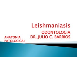 ODONTOLOGIA
DR. JULIO C. BARRIOSANATOMIA
PATOLOGICA I
 