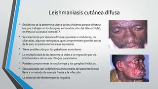 Leishmaniasis cutánea difusa
• En México se la denomina ulcera de los chicleros porque afecta a
los que trabajan en los bosques en la extracción del látex (chicle),
en Perú se la conoce como UTA
• Se caracteriza por lesiones difusas papulares o nodulares, no
ulceradas, algunas verrugosas, que comprometen grandes zonas
de la piel, en particular las áreas expuestas
• Tiene predilección por los pabellones auriculares
• La multiplicidad de las lesiones se debe a la migración por vía
linfohemática de los macrófagos parasitados.
• Pueden comprometer la nasofaringe y los ganglios linfáticos.
• Esta asociada con la deficiencia inmunitaria del paciente lo cual
lleva a un estado de anergia frente a la infección
• La reacción de Montenegro es negativa
 