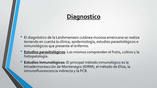 Diagnostico
• El diagnóstico de la Leishmaniasis cutánea mucosa americana se realiza
teniendo en cuenta la clínica, epidemiología, estudios parasitológicos e
inmunológicos que presente el enfermo.
• Estudios parasitológicos: Los mismos comprenden el frotis, cultivo y la
histopatología.
• Estudios Inmunológicos: El principal método inmunológico es la
Intradermoreacción de Montenegro (IDRM), el método de Elisa, la
inmunofluorescencia indirecta y la PCR.
 