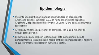 Epidemiologia
• Presenta una distribución mundial, observándose en el continente
Americano desde el sur de los E.E.U.U. hasta el norte de la República
Argentina y dependen de un reservorio, un vector y una población humana
susceptible.
• Afecta a 14 millones de personas en el mundo, con 1,5 a 2 millones de
nuevos casos por año.
• El número de pacientes con leishmaniosis está aumentando, debido
principalmente a los cambios del medio ambiente generados por el hombre,
lo que incrementa la exposición humana al vector.
 
