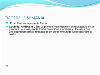 TIPOSDE LEISHMANIA
 En el Perú se reportan la forma:
 Cutánea, Andina o UTA: La primera manifestación es una pápula en la 
picadura del mosquito, la lesión evoluciona a nodular y ulcerativa con 
una depresión central rodeada de un borde endurado luego aparece la 
costra

 