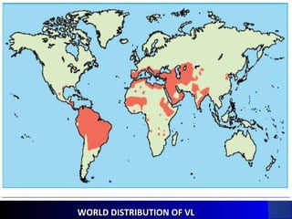 WORLD DISTRIBUTION OF VLWORLD DISTRIBUTION OF VL
 