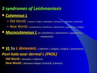 3 syndromes of Leishmaniasis3 syndromes of Leishmaniasis
 Cutaneous LCutaneous L
– Old World:Old World: L tropica, L major,L tropica, L major, L aethiopica, L donovaniL aethiopica, L donovani ,, L infantum,L infantum, L mexicanaL mexicana
– New World:New World: L amazonensis, L braziliensis, L panamensis, L guyanensis,L amazonensis, L braziliensis, L panamensis, L guyanensis, L chagasiL chagasi
 Mucocutaneous LMucocutaneous L byby L braziliensis, L panamensis, L guyamenis, LL braziliensis, L panamensis, L guyamenis, L
amazonensisamazonensis
 VLVL byby L donovani,L donovani, L infantum, L chagasi,L infantum, L chagasi, L tropica,L tropica, L amazonensisL amazonensis
Post-kala-azar dermal L (PKDL)Post-kala-azar dermal L (PKDL)
Old WorldOld World:: L donovani, L infantumL donovani, L infantum
New World:New World: L donovani chagasi:L donovani chagasi: Central &, S AmericaCentral &, S America
 