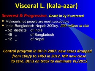Visceral L. (kala-azar)Visceral L. (kala-azar)
Severest & Progressive.Severest & Progressive. DeathDeath in 2y if untretedin 2y if untreted
 Malnourished people are most susceptibleMalnourished people are most susceptible
 India-Bangladesh-Nepal: 300k/y.India-Bangladesh-Nepal: 300k/y. 200 million at risk200 million at risk
– 52 districts52 districts of Indiaof India
– 45 ,,45 ,, of Bangladeshof Bangladesh
– 12 ,,12 ,, of Nepalof Nepal
Control program in BD in 2007: new cases droppedControl program in BD in 2007: new cases dropped
from 10k/y to 1463 in 2012, MR now closefrom 10k/y to 1463 in 2012, MR now close
to zero. BD is on track to eliminate VL/2015to zero. BD is on track to eliminate VL/2015
 