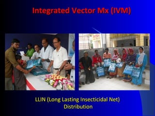 Integrated Vector Mx (IVM)Integrated Vector Mx (IVM)
LLIN (Long Lasting Insecticidal Net)LLIN (Long Lasting Insecticidal Net)
DistributionDistribution
 