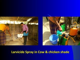 Larvicide Spray in Cow & chicken shadeLarvicide Spray in Cow & chicken shade
 