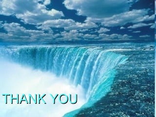 THANK YOUTHANK YOU
 