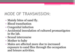 MODE OF TRANSMISSION:
• Mainly bites of sand fly.
• Blood transfustion
• Congenital infection
• Accidental inoculation of cultured promastigotes
in the lab.
• Sexual intercourse
• Mother to baby
• Males are affected more due to increased
exposure to sand flies through the occupation
and leisure activities.
 