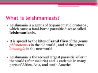 What is leishmaniasis?
• Leishmania is a genus of trypansomatid protozoa ,
which cause a fatal-borne parasitic disease called
leishmaniasis.
• It is spread by the bites of sand flies of the genus
phlebotomus in the old world , and of the genus
lutzomyia in the new world.
• Leishmania is the second largest parasitic killer in
the world (after malaria) and is endemic in many
parts of Africa, Asia, and south America.
 