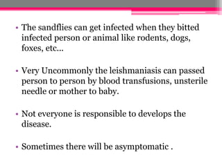 • The sandflies can get infected when they bitted
infected person or animal like rodents, dogs,
foxes, etc...
• Very Uncommonly the leishmaniasis can passed
person to person by blood transfusions, unsterile
needle or mother to baby.
• Not everyone is responsible to develops the
disease.
• Sometimes there will be asymptomatic .
 