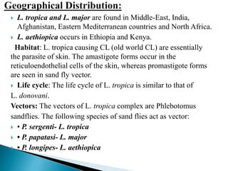  L. tropica and L. major are found in Middle-East, India,
Afghanistan, Eastern Mediterranean countries and North Africa.
 L. aethiopica occurs in Ethiopia and Kenya.
Habitat: L. tropica causing CL (old world CL) are essentially
the parasite of skin. The amastigote forms occur in the
reticuloendothelial cells of the skin, whereas promastigote forms
are seen in sand fly vector.
 Life cycle: The life cycle of L. tropica is similar to that of
L. donovani.
Vectors: The vectors of L. tropica complex are Phlebotomus
sandflies. The following species of sand flies act as vector:
 • P. sergenti- L. tropica
 • P. papatasi- L. major
 • P. longipes- L. aethiopica
 