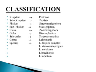  Kingdom  Protozoa
 Sub- Kingdom  Protista
 Phylum  Sarcomastigophora
 Sub- Phylum  Mastigophora
 Class  Zoomastigphora
 Order  Kinetoplastida
 Sub-order  Tryponosomatina
 Genus  Leishmania
 Species  L. tropica complex
 L. donovani complex
 L. mexicana
 L.braziliensis
 L.infantum
 