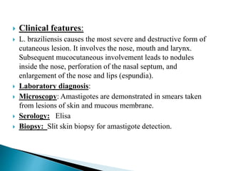  Clinical features:
 L. braziliensis causes the most severe and destructive form of
cutaneous lesion. It involves the nose, mouth and larynx.
Subsequent mucocutaneous involvement leads to nodules
inside the nose, perforation of the nasal septum, and
enlargement of the nose and lips (espundia).
 Laboratory diagnosis:
 Microscopy: Amastigotes are demonstrated in smears taken
from lesions of skin and mucous membrane.
 Serology: Elisa
 Biopsy: Slit skin biopsy for amastigote detection.
 