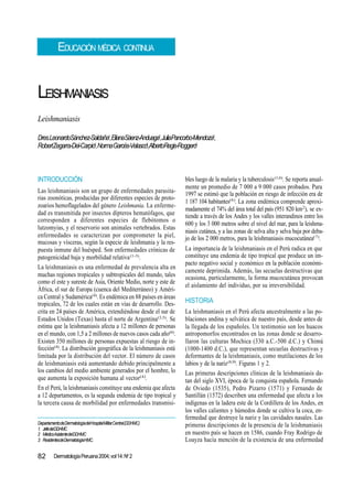 Leishmaniasis
DermatologíaPeruana2004;vol14:No
2
82
LEISHMANIASIS
Dres.LeonardoSánchez-Saldaña1
,ElianaSáenz-Anduaga2
,JuliaPancorbo-Mendoza3
,
RobertZegarra-Del-Carpio3
,NormaGarcés-Velasco3
,AlbertoRegis-Roggero3
DepartamentodeDermatologíadelHospitalMilitarCentral(DDHMC)
1
. JefedelDDHMC
2
. MédicoAsistentedelDDHMC
3
. ResidentesdeDermatologíaHMC.
INTRODUCCIÓN
Las leishmaniasis son un grupo de enfermedades parasita-
rias zoonóticas, producidas por diferentes especies de proto-
zoarios hemoflagelados del género Leishmania. La enferme-
dad es transmitida por insectos dípteros hematófagos, que
corresponden a diferentes especies de flebótomos o
lutzomyias, y el reservorio son animales vertebrados. Estas
enfermedades se caracterizan por comprometer la piel,
mucosas y vísceras, según la especie de leishmania y la res-
puesta inmune del huésped. Son enfermedades crónicas de
patogenicidad baja y morbilidad relativa(1-3)
.
La leishmaniasis es una enfermedad de prevalencia alta en
muchas regiones tropicales y subtropicales del mundo, tales
como el este y sureste de Asia, Oriente Medio, norte y este de
África, el sur de Europa (cuenca del Mediterráneo) y Améri-
ca Central y Sudamérica(4)
. Es endémica en 88 países en áreas
tropicales, 72 de los cuales están en vías de desarrollo. Des-
crita en 24 países de América, extendiéndose desde el sur de
Estados Unidos (Texas) hasta el norte de Argentina(3,5)
. Se
estima que la leishmaniasis afecta a 12 millones de personas
en el mundo, con 1,5 a 2 millones de nuevos casos cada año(6)
.
Existen 350 millones de personas expuestas al riesgo de in-
fección(4)
. La distribución geográfica de la leishmaniasis está
limitada por la distribución del vector. El número de casos
de leishmaniasis está aumentando debido principalmente a
los cambios del medio ambiente generados por el hombre, lo
que aumenta la exposición humana al vector(4)
.
En el Perú, la leishmaniasis constituye una endemia que afecta
a 12 departamentos, es la segunda endemia de tipo tropical y
la tercera causa de morbilidad por enfermedades transmisi-
bles luego de la malaria y la tuberculosis(1,6)
. Se reporta anual-
mente un promedio de 7 000 a 9 000 casos probados. Para
1997 se estimó que la población en riesgo de infección era de
1 187 104 habitantes(6)
. La zona endémica comprende aproxi-
madamente el 74% del área total del país (951 820 km2
), se ex-
tiende a través de los Andes y los valles interandinos entre los
600 y los 3 000 metros sobre el nivel del mar, para la leishma-
niasis cutánea, y a las zonas de selva alta y selva baja por deba-
jo de los 2 000 metros, para la leishmaniasis mucocutánea(7)
.
La importancia de la leishmaniasis en el Perú radica en que
constituye una endemia de tipo tropical que produce un im-
pacto negativo social y económico en la población económi-
camente deprimida. Además, las secuelas destructivas que
ocasiona, particularmente, la forma mucocutánea provocan
el aislamiento del individuo, por su irreversibilidad.
HISTORIA
La leishmaniasis en el Perú afecta ancestralmente a las po-
blaciones andina y selvática de nuestro país, desde antes de
la llegada de los españoles. Un testimonio son los huacos
antropomorfos encontrados en las zonas donde se desarro-
llaron las culturas Mochica (330 a.C.-500 d.C.) y Chimú
(1000-1400 d.C.), que representan secuelas destructivas y
deformantes de la leishmaniasis, como mutilaciones de los
labios y de la nariz(8,9)
. Figuras 1 y 2.
Las primeras descripciones clínicas de la leishmaniasis da-
tan del siglo XVI, época de la conquista española. Fernando
de Oviedo (1535), Pedro Pizarro (1571) y Fernando de
Santillán (1572) describen una enfermedad que afecta a los
indígenas en la ladera este de la Cordillera de los Andes, en
los valles calientes y húmedos donde se cultiva la coca, en-
fermedad que destruye la nariz y las cavidades nasales. Las
primeras descripciones de la presencia de la leishmaniasis
en nuestro país se hacen en 1586, cuando Fray Rodrigo de
Loayza hacía mención de la existencia de una enfermedad
EDUCACIÓN MÉDICA CONTINUA
Leishmaniasis
 