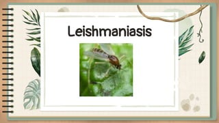 Leishmaniasis
 