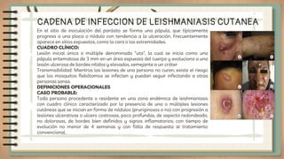 CADENA DE INFECCION DE LEISHMANIASIS CUTANEA
En el sitio de inoculación del parásito se forma una pápula, que típicamente
...