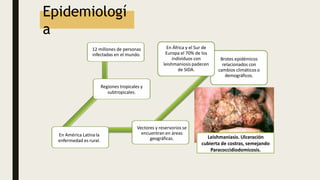12 millones de personas
infectadas en el mundo.
Regiones tropicales y
subtropicales.
En América Latinala
enfermedad es rural.
Vectores y reservorios se
encuentran en áreas
geográficas.
Brotes epidémicos
relacionados con
cambios climáticoso
demográficos.
En África y el Sur de
Europa el 70% de los
individuos con
leishmaniosis padecen
de SIDA.
Epidemiologí
a
Leishmaniasis. Ulceración
cubierta de costras, semejando
Paracoccidiodomicosis.
 