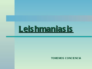 Leishmaniasis TOMEMOS CONCIENCIA 