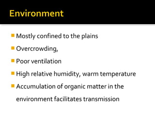  Mostly confined to the plains
 Overcrowding,
 Poor ventilation
 High relative humidity, warm temperature
 Accumulation of organic matter in the
environment facilitates transmission
 