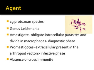  19 protozoan species
 Genus Leishmania
 Amastigote- obligate intracellular parasites and
divide in macrophages- diagnostic phase
 Promastigotes- extracellular present in the
arthropod vectors- infective phase
 Absence of cross immunity
 