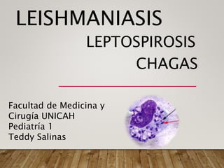 LEISHMANIASIS
LEPTOSPIROSIS
CHAGAS
Facultad de Medicina y
Cirugía UNICAH
Pediatría 1
Teddy Salinas
 