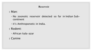 🞂 Man:
◦ No zoonotic reservoir detected so far in Indian Sub-
continent
◦ it’s Anthroponotic in India.
🞂 Rodent:
◦ African kala-azar
🞂 Canine
Reservoir
 