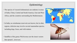 Epidemiology
◦ The species of visceral leishmaniasis are endemic in areas
of India, China, Central and South America, East and West
Africa, and the countries surrounding the Mediterranean.
◦ In India, no extrahuman reservoirs are known, but in other
regions, infection may involve several mammalian species,
including dogs, foxes, and wild rodents.
◦ Sandflies of the genus Phlebotomus are the insect vectors
that spread L. donovani.
 