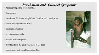 Incubation and Clinical Symptoms
◦ Incubation period is 6-8 months.
Symptoms:
◦ weakness, dizziness, weight loss, diarrhea, and constipation.
◦ Fever, may spike twice daily;
◦ chills and sweating.
◦ hepatosplenomegaly
◦ anemia and leukopenia.
◦ bleeding from the gingivae, nose, or GI tract,
◦ ecchymoses and petechiae on the skin.
 